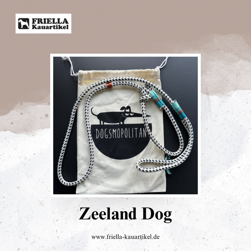 Zeeland: Stilvolle und einzigartige Hundeaccessoires für den modernen Vierbeiner
