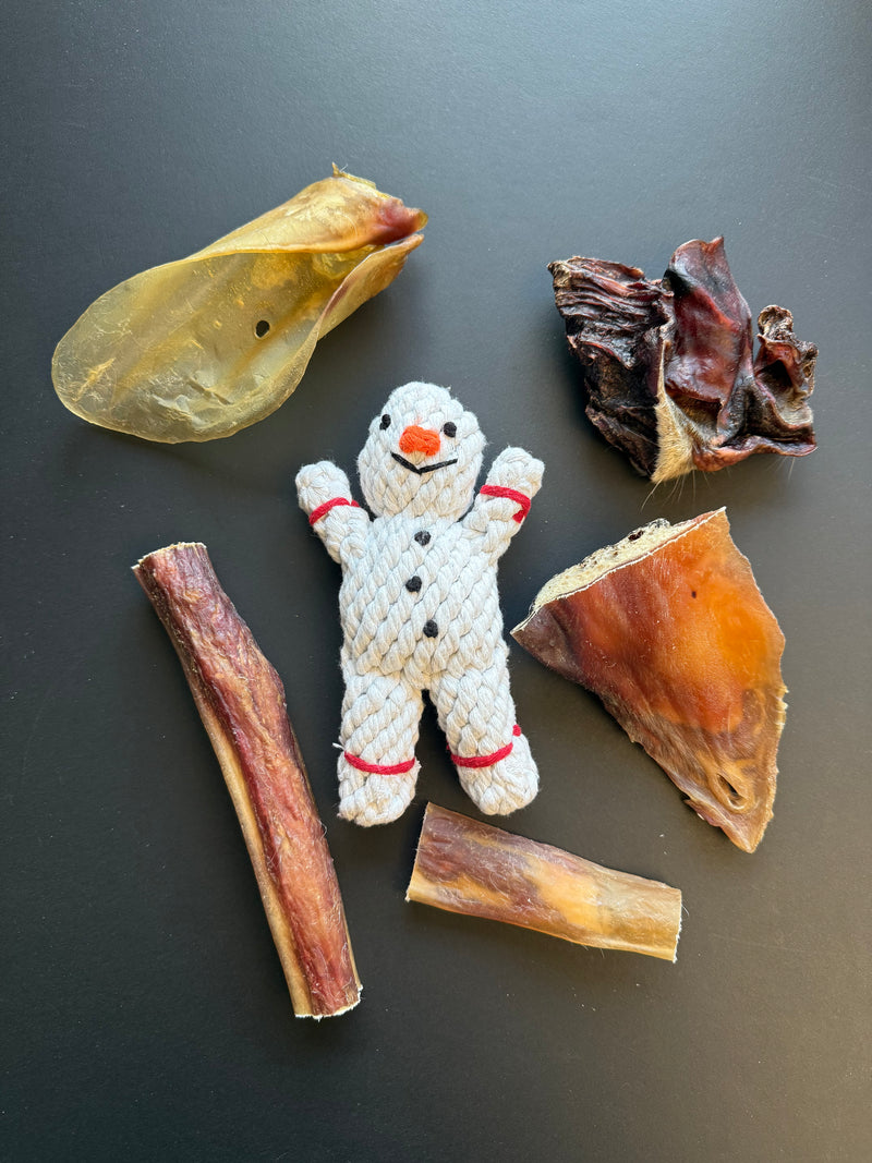 Friellas Weihnachtsbox mit Hundespielzeug